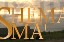 Shema Isma | Vanġelu u Spjega tal-Vanġelu tal-Ħadd 24 ta’ Novembru