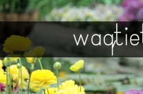 Waqtiet: Programmi speċjali għar-Randan 2014